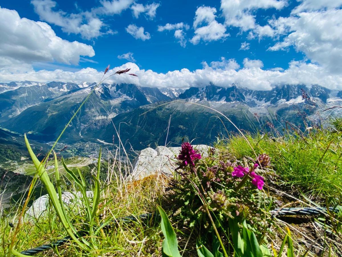 Rocky Sud * Chamonix